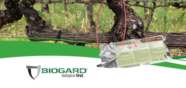 BIOOtwin_vite BIOOtwin_vite