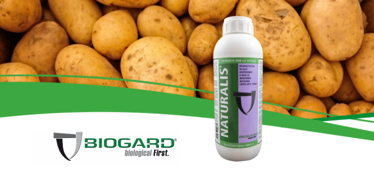 biogard DE - Naturalis® auf Kartoffel-Elateriden